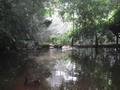 7. The 'rainforest', The Rainforest Habitat Wildlife Sanctuary, nr Cairns