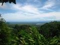 24. Looking out across the Daintree Rainforest from Alexandra Lookout