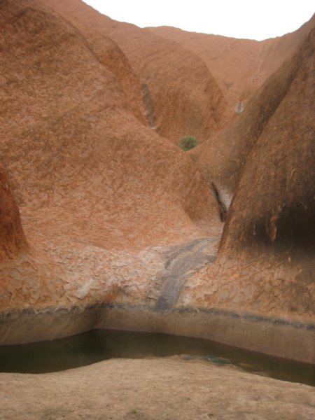 80. Mutitjulu waterhole, Uluru