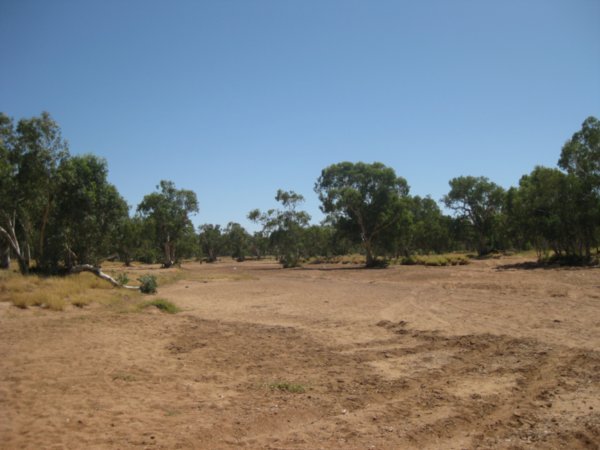 91. Todd River, Alice Springs