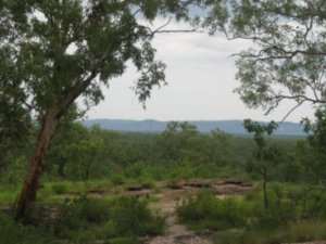 32. Arnhem land escarpment in the distance taken from Nourlangie, Kakadu national park
