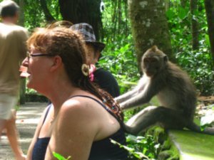 39. A Balinese Macaque playing with a woman's beads, Ubud, Bali