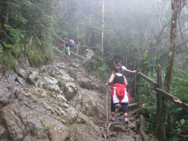 3. Walking through the mist in the rainforest, Mount Kinabalu