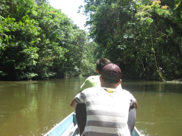 6. Taking a longboat ride to Wind Cave, Gunung Mulu National Park