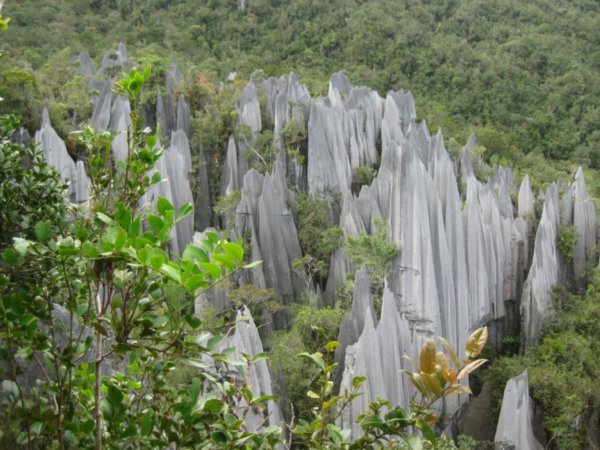 25. The Pinnacles, Gunung Mulu National Park