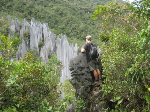 29. Admiring the Pinnacles, Gunung Mulu National Park