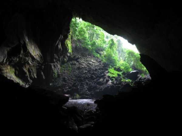 47. The Garden of Eden at the end of Deer Cave, Gunung Mulu National Park