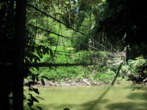15. Rope bridge near the start of the trek in to camp 5, Gunung Mulu National Park