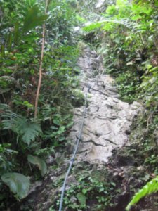 19. Climbing up to the Pinnacles invloves ropes, Gunung Mulu National Park