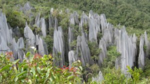 22. The Pinnacles, Gunung Mulu National Park