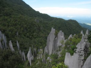 24. The Pinnacles, Gunung Mulu National Park