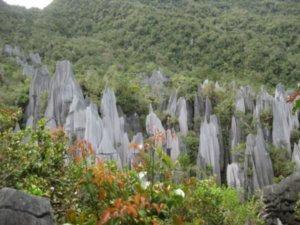 27. The Pinnacles, Gunung Mulu National Park