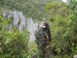 28. Making it to the top of The Pinnacles, Gunung Mulu National Park