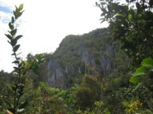 30. The Pinnacles, Gunung Mulu National Park