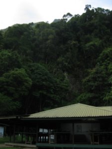 37. Mount Api towers above camp 5, Gunung Mulu National Park