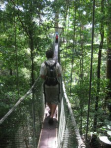 59. Canopy walk, Gunung Mulu National Park