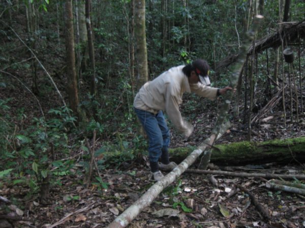 28. John making our jungle camp, Kelabit Highlands