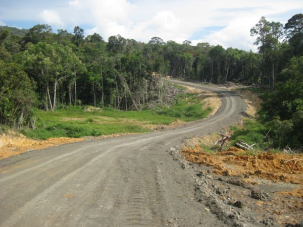 31. Making it out of the jungle on to the logging road, outside Bario, Kelabit Highlands