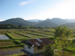 6. Bario's rice paddy fields