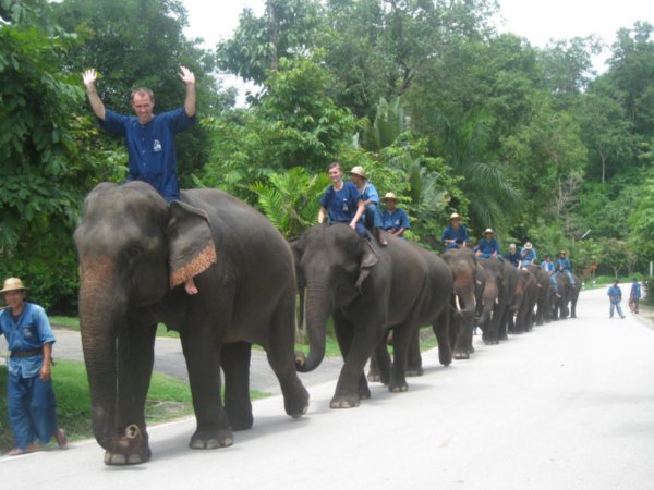 13. Look no hands!, Elephant Conservation Centre