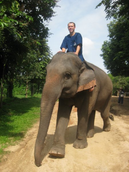 2. A mahout in training with his Elephant, Elephant Conservation Centre