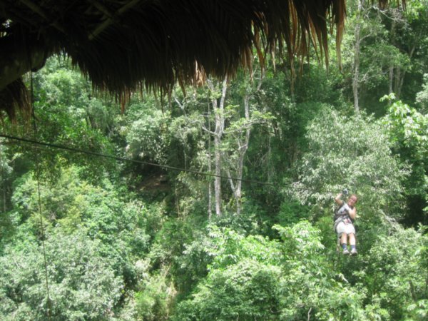 9. Jenna zipping in to the treehouse, Day 1 of the  Gibbon Experience
