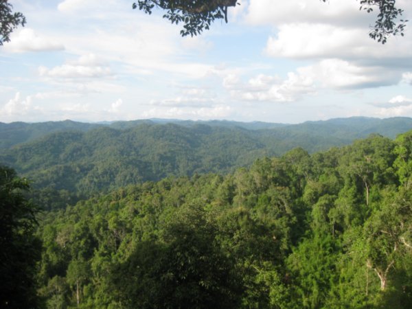 23. The view from treehouse no. 2, Day 1 of the Gibbon Experience