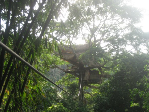 24. Our treehouse on the Gibbon Experience
