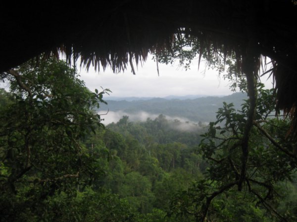28. Early morning mist over the Bokeo Nature Reserve, Day 2 of the Gibbon Experience