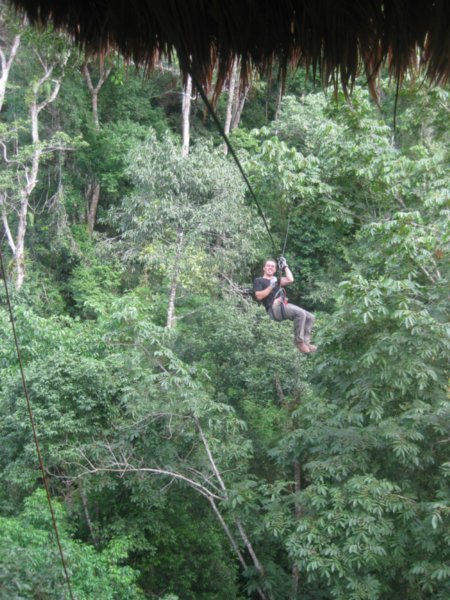 38. Zipping back to the treehouse, Day 2 of the  Gibbon Experience