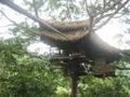 18. Our treehouse on the Gibbon Experience