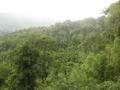 43. One of the longest zip lines on the Gibbon Experience