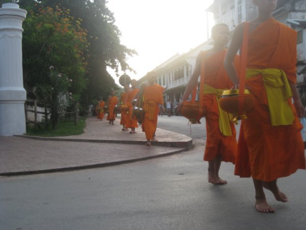 44. The monks stream past on the daily monks rice parade, Luang Prabang