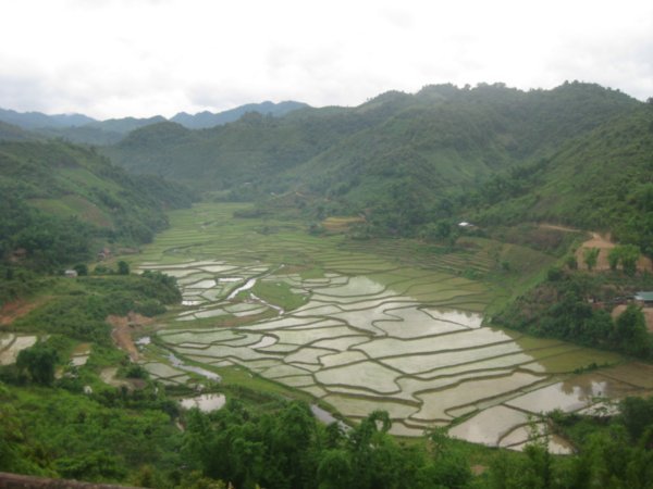 1. Rice paddies in the valley below - the view from Sam Neua bus station