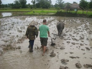 9. Getting involved with ploughing the rice paddy, Don Dhet