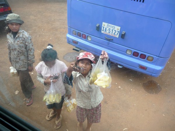 1. Anyone for a tarantula, the bus journey to Phnom Penh