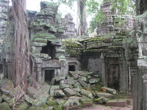56. Ta Prohm, Temples of Angkor