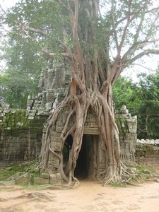 15. Vegetation taking over Ta Som, Temples of Angkor