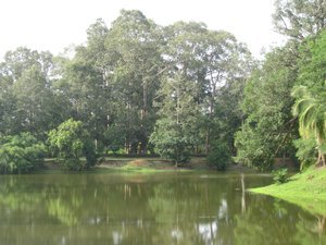 36. The moat surrounding Bakong, Temples of Angkor