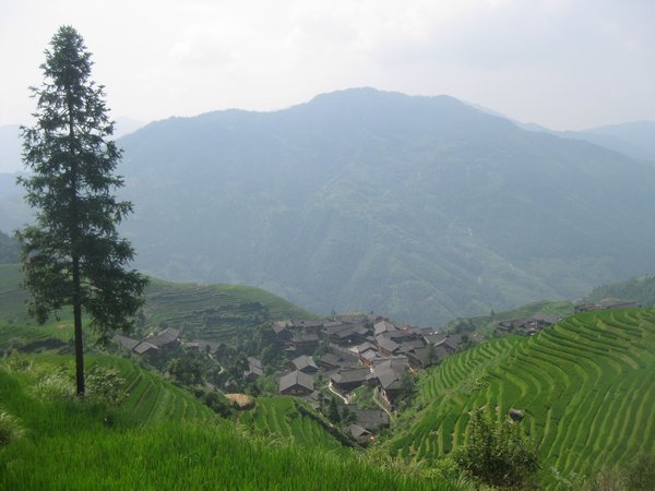 10. Longji Rice Terraces surrounding Ping' An