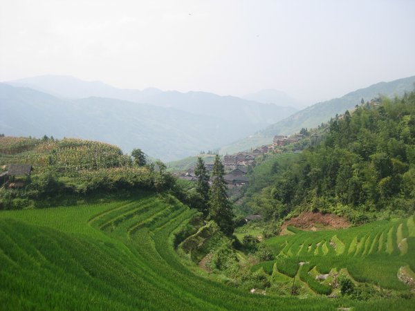 11. Longji Rice Terraces surrounding Ping' An