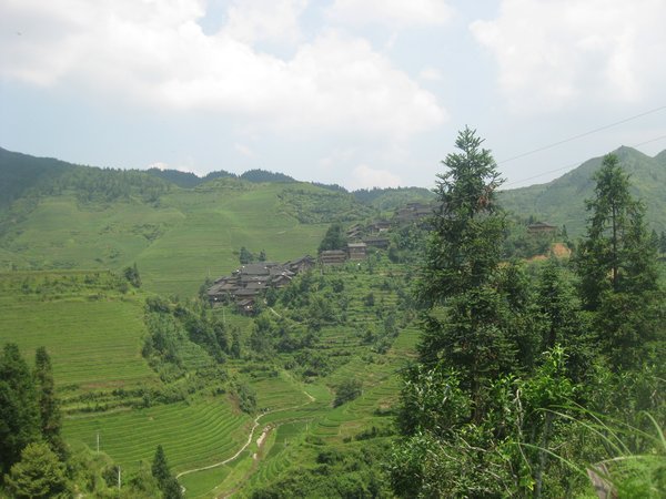 16. Longji Rice Terraces surrounding Zhonglu