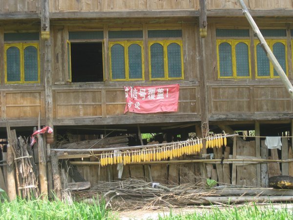 19. Corn hanging outside a house in Zhonglu village, Longji Rice Terraces