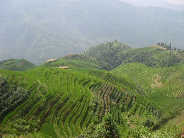 4. Longji Rice Terraces