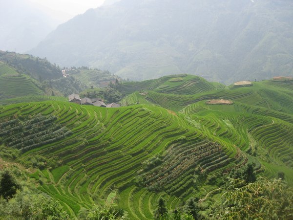 6. Longji Rice Terraces