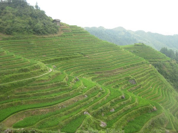 23. Longji Rice Terraces