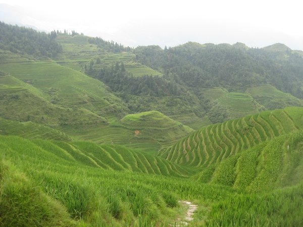 24. Longji Rice Terraces