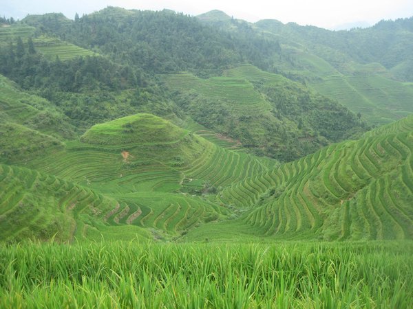 25. Longji Rice Terraces