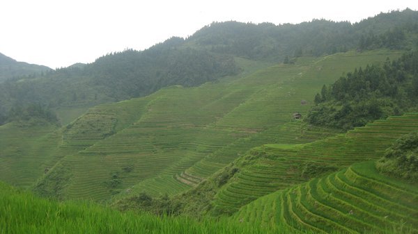 27. Longji Rice Terraces