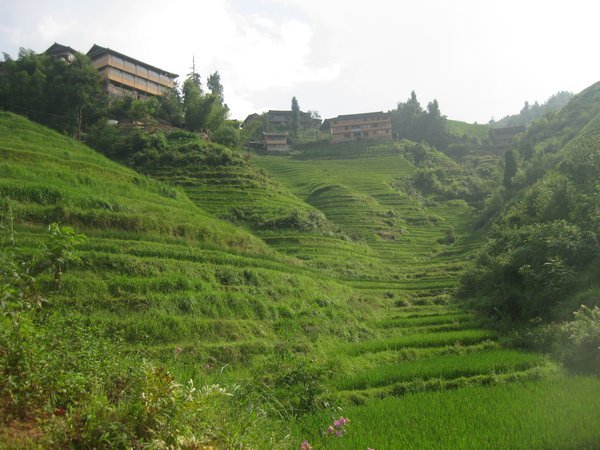 34. Village, Longji Rice Terraces